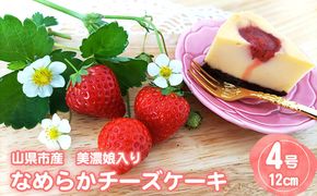 山県市産　美濃娘入り　なめらかチーズケーキ [No.792]