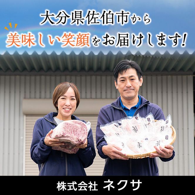 おおいた和牛 ヒレステーキ (計400g ・ヒレステーキ100g×4枚、ステーキソース×4袋) 国産 牛肉 肉 霜降り A4 ヒレ ステーキ 和牛 ブランド牛 冷凍 大分県 佐伯市【DH164】【(株)ネクサ】