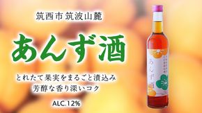 あんず酒 アルコール 12％（ 500ml × 1本 ） 果実酒 お酒 酒 あんず [DP003ci]