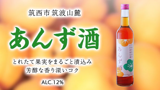 あんず酒 アルコール 12％（ 500ml × 1本 ） 果実酒 お酒 酒 あんず [DP003ci]