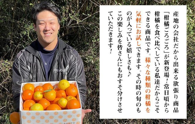 旬の柑橘食べ比べ 柑橘ごろごろ 3種 箱込 5kg(内容量約 4.4kg) 秀品 優品 混合 和歌山県産 産地直送 【おまけ付き】【みかんの会】AX248