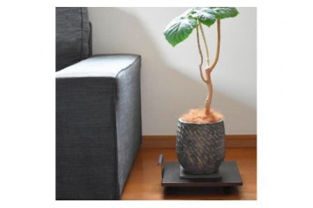 台車 持ち手付き ミニ台車 (ブラウン) 完成品 1台｜新星金属製作所 大阪府 守口市 家具 インテリア 台 花台 移動式 可動式 観葉植物 サーキューレーター キャスター付き コンパクト [0895]