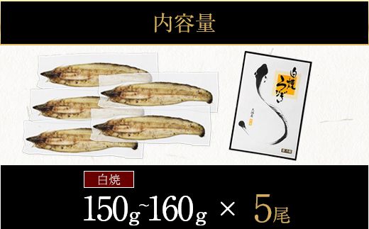 【CF002】鹿児島県大隅産　千歳鰻の白焼き鰻　5尾【CH153】