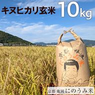 【令和6年産先行予約】米 キヌヒカリ 玄米 10kg〈アグリにのうみ〉京都・亀岡産《令和6年産》◇※北海道・沖縄・離島への配送不可※2024年10月中旬～11月中旬頃に順次発送予定