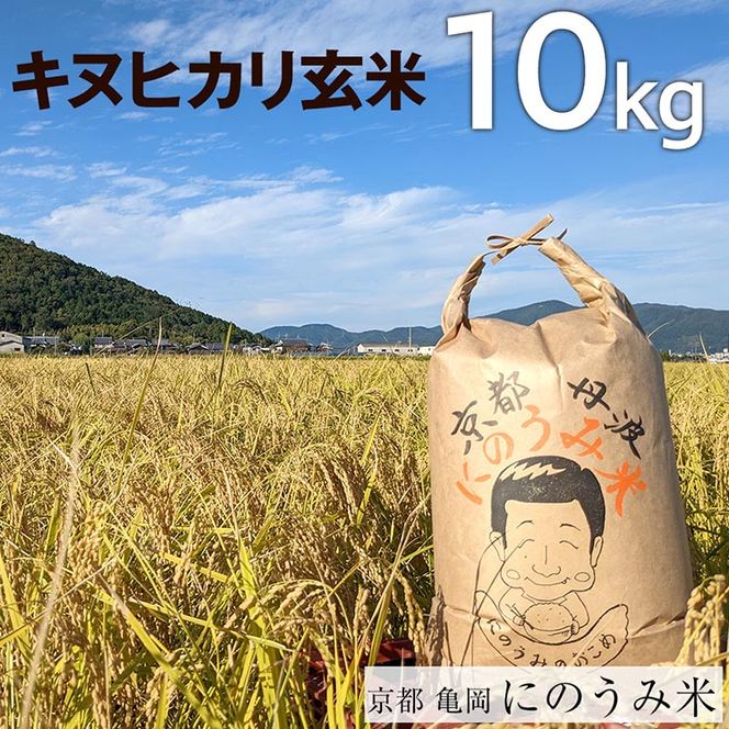 【令和7年産先行予約】米 キヌヒカリ 玄米 10kg〈アグリにのうみ〉京都・亀岡産《令和7年産》◇ ※北海道・沖縄・離島への配送不可 ※2025年10月中旬頃から順次発送予定