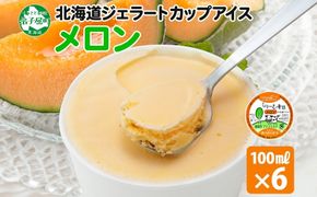 2327. くりーむ童話 カップアイス メロン 100ml×6個 アイスクリーム めろん アイス スイーツ おやつ 牛乳 ミルク 贈り物 gift ギフト プレゼント 詰め合わせ 送料無料 北海道 弟子屈町