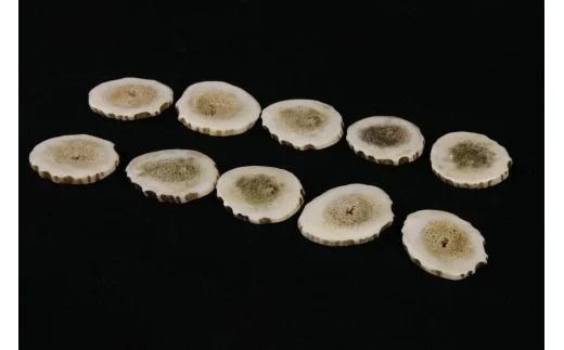 350.弟子屈産エゾシカ角ボールマーカー