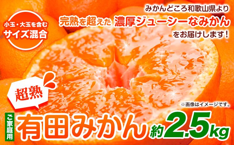 [先行予約]家庭用 超熟 有田 みかん 2.5kg+75g(傷み補償分)[わけあり・訳あり][光センサー選果]池田鹿蔵農園@日高町(池田農園株式会社)[11月上旬-12月末頃出荷]和歌山県 日高町[配送不可地域あり]みかん 有田みかん---wsh_idn64_11j12m_24_7000_2500g---