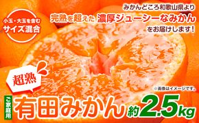 ＜先行予約＞家庭用 超熟 有田 みかん 2.5kg+75g（傷み補償分）【わけあり・訳あり】【光センサー選果】池田鹿蔵農園@日高町（池田農園株式会社）《11月上旬-12月末頃出荷》和歌山県 日高町【配送不可地域あり】みかん 有田みかん---wsh_idn64_11j12m_24_7000_2500g---