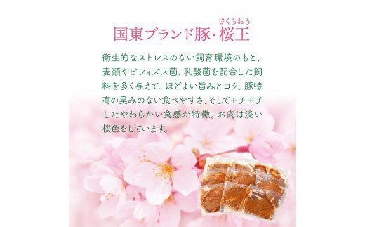 くにさき桜王の味噌漬けステーキ1kg_1063R