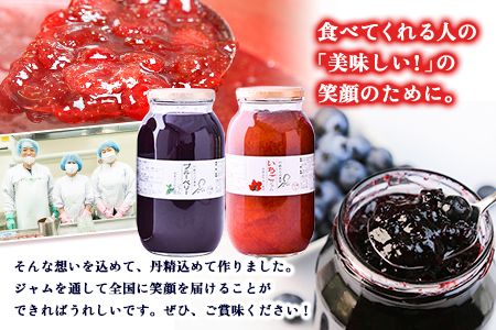 【ふるさと納税】果実ぎっしり！木之内農園の手作りいちごジャムとブルーベリージャム　2kg（1kg×2本）《30日以内に出荷予定(土日祝を除く)》 熊本県南阿蘇村 イチゴ 苺 減農薬 大粒 ブルーベリー 乗せるジャム---isms_kinonstbb_30d_r7_15500_2kg---