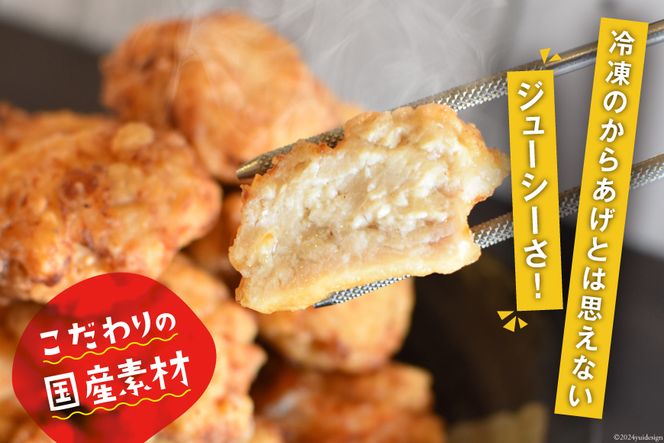 唐揚げ 能登から&ごちから詰め合わせ 能登から3種(200gx3袋) ごちから2種(300gx2袋) 鶏皮せんべいx1 [からあげ専門店おっSAMA 石川県 宝達志水町 38600917] からあげ から揚げ レンジ 冷凍食品 揚げ物 おかず お弁当 惣菜 大容量 冷凍 半調理 鶏肉 肉