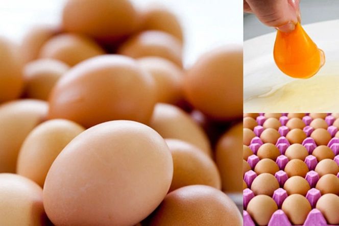 BE290【定期便】島原のたまご 黄味子Ａセット 計6回お届け