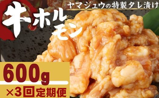 ヤマジュウの特製タレ漬け!国産牛ホルモン600g[3回定期便]_yj084