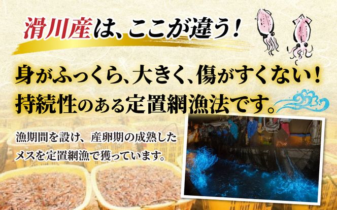 【先行予約】ほたるいか ボイル＆刺身セット※着日指定は備考欄へ　※25年3月中旬以降順次発送予定【カネツル砂子商店】