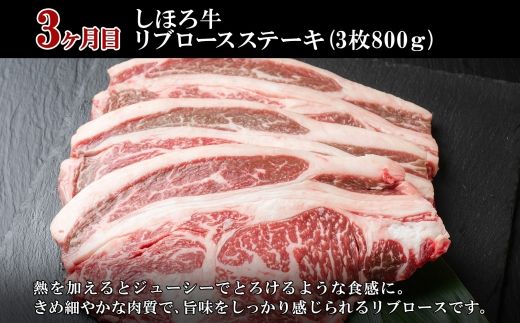 ■定期便■ 北海道 しほろ牛 冬の定期便 全3回 牛肉 サーロイン ステーキ リブロース 肉 牛 赤身肉 国産牛 肉 ビーフ 牛肉 焼肉 冷凍 お取り寄せ 頒布会 送料無料 十勝 士幌町 75000円 【X21】