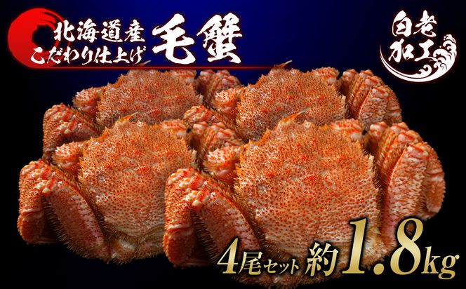 ykCVzъI {Cς Ⓚ 4Zbg 1.8kg  BM245