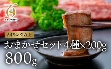 F4-01 片桐さんの「おおいた和牛」おまかせ焼肉セット（計800g）