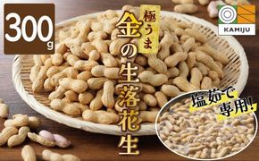 【2026年発送】事前予約 やみつき極うま “金の生落花生” 300g 生ピーナッツ 塩ゆで専用　H105-140