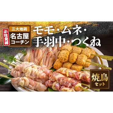 名古屋コーチン焼き鳥セット(モモ・ムネ・手羽中・つくね)(20本入り)[001T02]