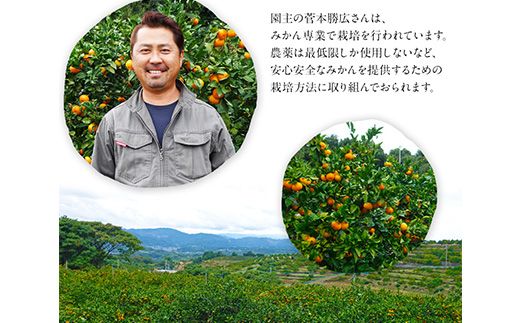 『菅本果実園』のみかん★約3kg(2S-Lサイズ)  フルーツ 秋 旬【日付指定不可】 ★熊本県玉名郡玉東町 全国にファン多数！エコファーマー菅本さんのみかん『菅本果実園』《10月中旬-12月末頃出荷》---sg_sugamikan_bc1012_24_11000_3kg---