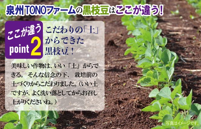 010B141 【先行予約】畑から直送・朝採り黒枝豆3.6kg