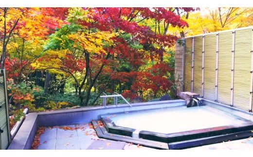 ns016-002　塩原温泉　源泉掛け流しにごり湯　奥塩原高原ホテル　ペア宿泊券　新館和洋室　（１泊２食付）