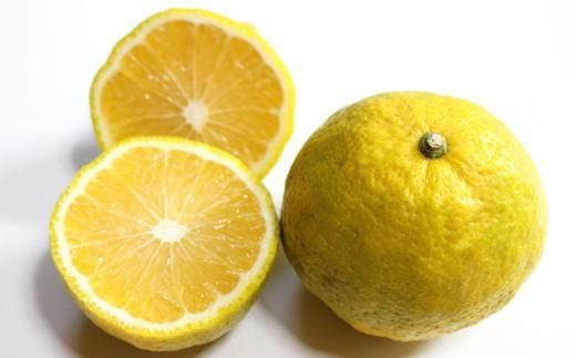 訳あり品］有田産のじゃばら果実約3kg   BZ109 