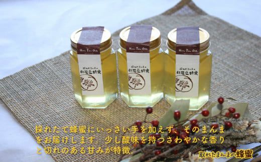 14営業日以内に発送》採れたまんまの白花豆蜂蜜 190g×3本セット ( 蜂蜜