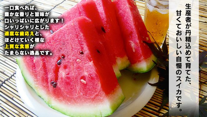 【 先行予約 2026年6月中旬以降発送開始】 令和8年産 八千代町産 大玉 スイカ 優以上 L1玉 （約 6kg ） 味の香 期間限定 産地直送 果物 フルーツ 西瓜 スイカ すいか 西瓜 甘い 夏 [AX017ya]