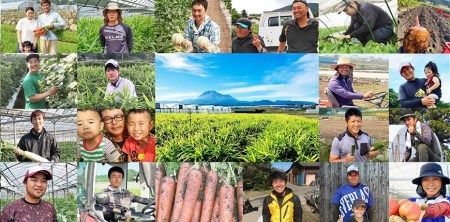 BF113 10月下旬から出荷！「幻の朝どれホワイトコーン！」Lサイズ以上×5本セット【全国的にも珍しい秋季出荷】