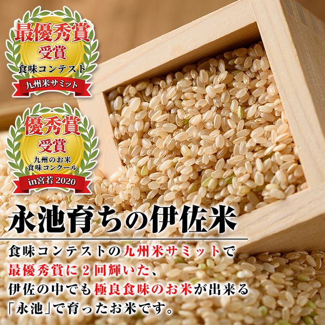 isa535 令和5年産 特別栽培米 永池ひのひかり玄米(3kg)【エコファーム永池】