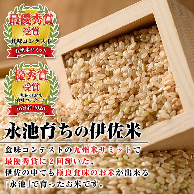 isa199 令和6年産 特別栽培米 永池ひのひかり玄米(10kg) 鹿児島 isa199 令和6年産 特別栽培米 永池ひのひかり玄米(10kg) 鹿児島