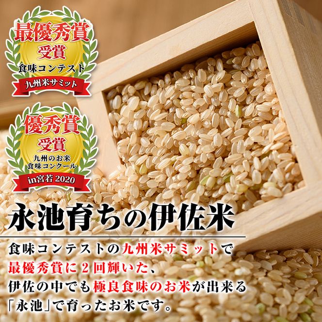 isa538 【定期便】令和5年産 特別栽培米 永池ひのひかり玄米(計30kg・10kg×3ヶ月)【エコファーム永池】