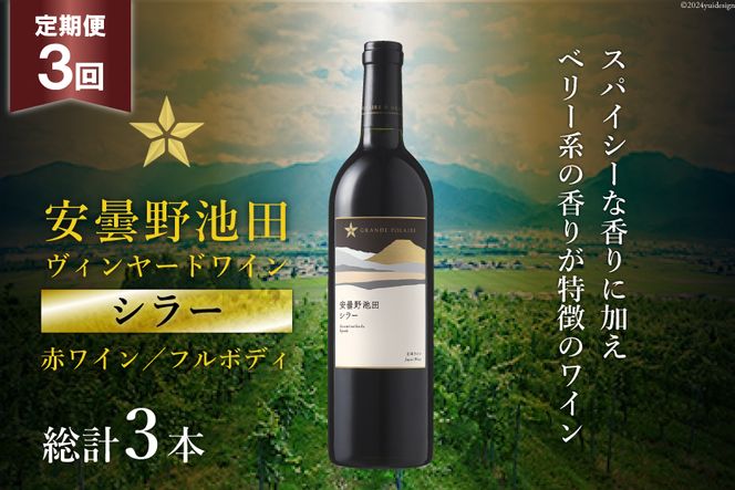 3回 定期便 赤ワイン サッポロ グランポレール 安曇野池田ヴィンヤード「シラー」750ml 総計3本 [池田町ハーブセンター 長野県 池田町 48110609] 赤 ワイン フルボディ 濃厚 凝縮 お酒 酒