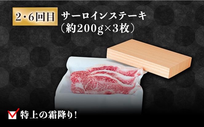 【豪華8回定期便】長崎 和牛 食べ比べ / ヒレ サーロイン ロース シャトーブリアン / 肉厚 牛肉 贅沢 ジューシー 牛 ステーキ肉 / 南島原市 / ながいけ[SCH054]