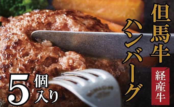 010AA09N.但馬牛経産牛ハンバーグ(150g×5個)但馬牛 牛肉 100%