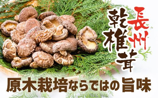 yRRszE092 BőZbg(z[35g×2܁{XCX28g×1)