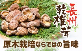 E093 長州乾椎茸ホール35g×3