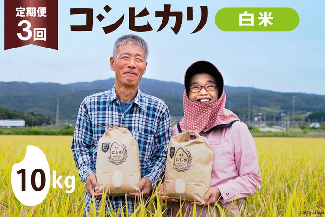 定期便 コシヒカリ 白米 10kg×1×3回 総計30kg [農家にしの 石川県 宝達志水町 38600629] 米 お米 ご飯 ごはん