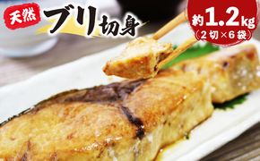 天然 ブリ ワラサ 切身 約1.2kg 冷凍 小分け 鰤 ぶり【kouyou005_1】