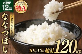 12回 定期便 JA新すながわ産 ななつぼし 10kg×12回 総計120kg [ホクレン商事 北海道 砂川市 12260665]