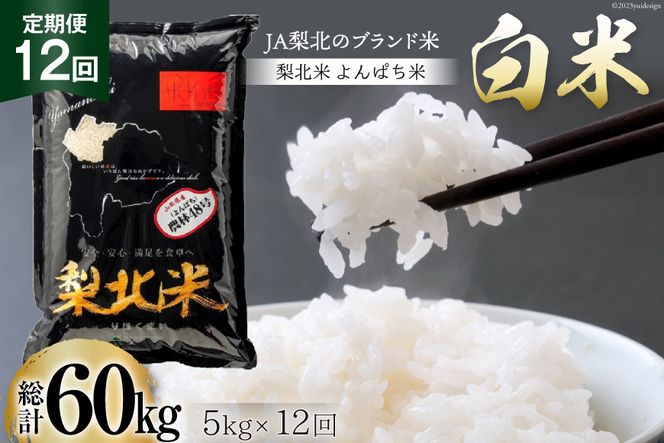 【定期便】【12回 米 定期便 】梨北米 農林48号 5kg×12回 総計60kg [梨北農業協同組合 山梨県 韮崎市 20742749] お米 おこめ こめ コメ 精米 60キロ ご飯 ごはん 白米 国産 JA梨北