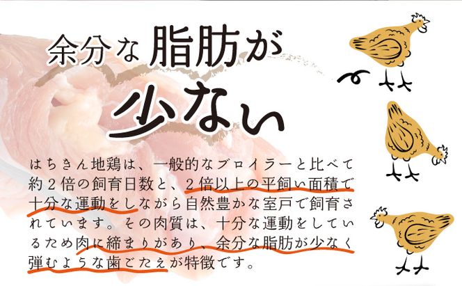 鶏肉 もも肉 はちきん地鶏 もも肉 1kg モモ肉 鶏肉 鳥肉 とり肉 冷凍 国産 送料無料　ag004!