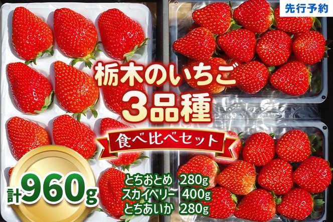 いちごの贅沢！栃木の3品種食べ比べセット《12月より順次出荷》｜とちあいか とちおとめ スカイベリー いちご 苺 フルーツ 果物 産地直送 [0562]