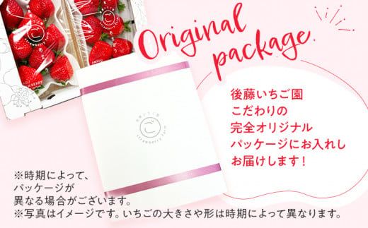 【先行予約/2026年】あまおうプレミアム 約270g×4パック《2026年2月以降順次発送》 農家直送 あまおう いちご 苺 フルーツ お取り寄せグルメ お取り寄せ 福岡 お土産 九州 福岡土産 取り寄せ グルメ 福岡県 【北海道・沖縄・離島への配送不可】