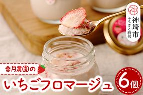 いちごフロマージュ6個セット 【佐賀県産 クリームチーズ 生クリーム ドライいちご 贅沢】(H017105)