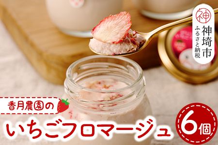 yꌧ_szt}[W6Zbg yꌧY N[`[Y N[ hC ґz(H017105)