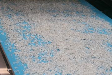 しらす屋のしらす干し 500ｇ×12ヶ月 定期便 H006-086