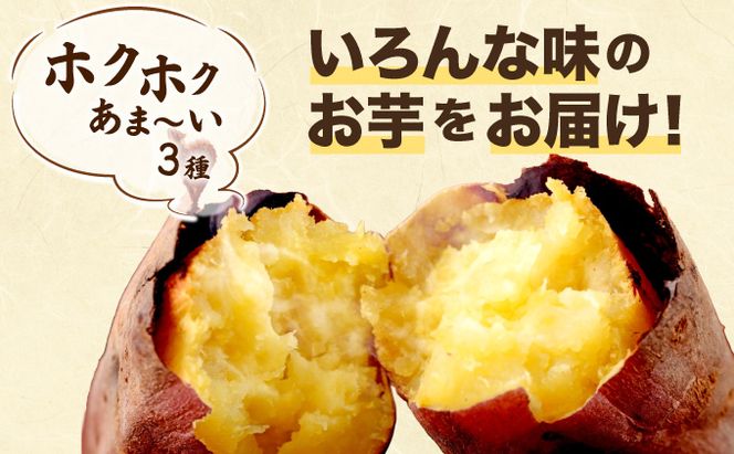 さつまいも　リクエストセット【フォロー割・短期リピート割特価】 楽天市場】新潟県産 さつまいも ミックス 2kg（2〜3種類を